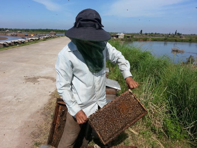 Nghề nuôi ong tốn rất nhiều thời gian và công sức.