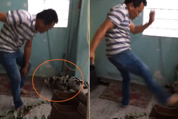 Người đàn ông 'thượng cẳng chân hạ cẳng tay' với Pull ngăn không cho lại gần chủ cũ