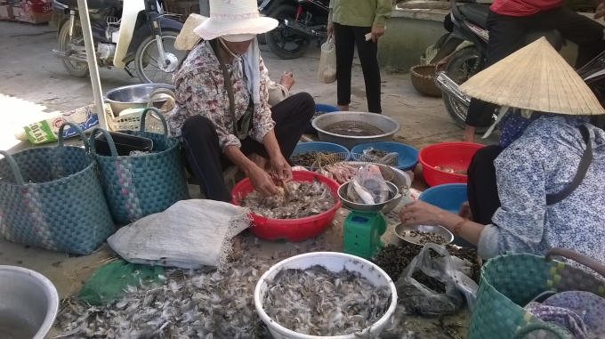 Hàng trăm chú chim, cò được vặt lông, làm thịt tại chỗ không thương tiếc. Ảnh Duy Ngợi