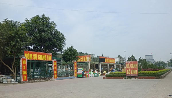 Địa điểm Ban quản lý quảng trường cho thuê đất trái quy định (Giáp mặt đường Trường Thi, phường Trường Thi, TP Vinh).