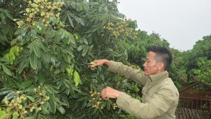 Anh266.