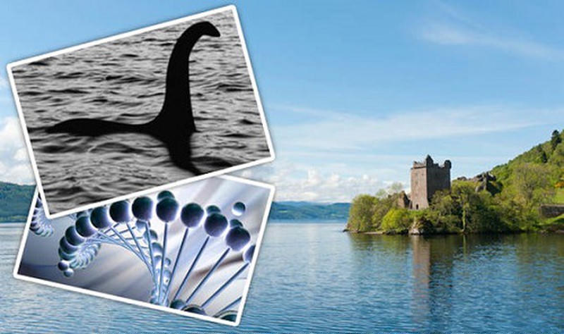 Hàng ngàn năm qua, sự tồn tại của quái vật hồ Loch Ness vẫn là một tranh cãi bí ẩn.