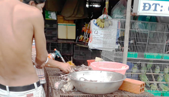 Số chim khác bị khò lửa để bán tại chỗ