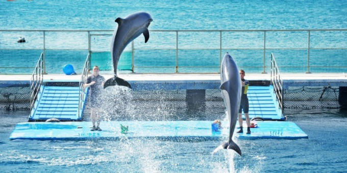 Giới trẻ đổ x&ocirc; Check-in tại bối cảnh quay MV Tết của Miu L&ecirc;