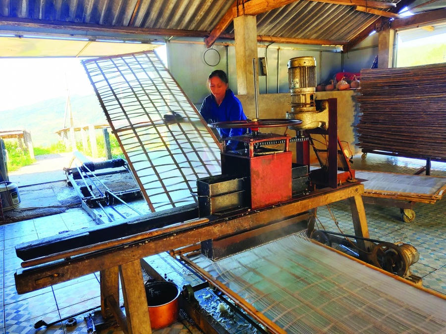 Người dân xóm Phja Đén, xã Thành Công, tỉnh Cao Bằng sản xuất miến dong. (Ảnh: Báo Cao Bằng)
