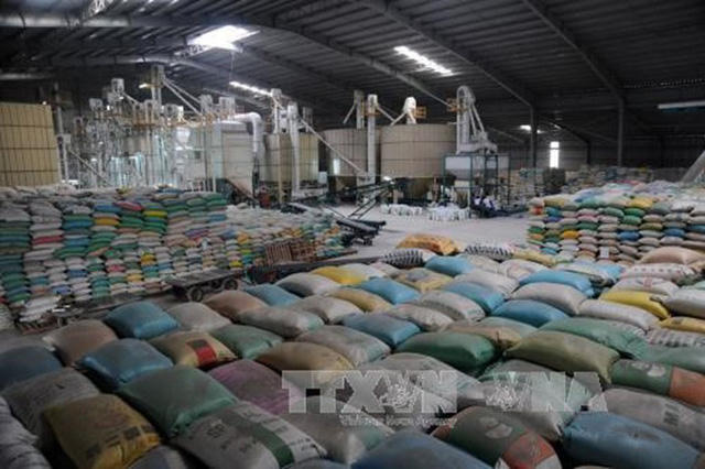 Xuất khẩu gạo của nước ta đạt hơn 1,2 triệu tấn, tăng cao so với cùng kỳ năm 2017. Ảnh: TTXVN