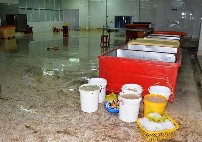 Bắt quả tang lượng lớn t&ocirc;m đang bơm tạp chất tại C&ocirc;ng ty Quốc &Aacute;i