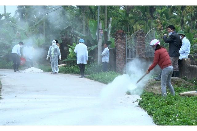 Khử trùng nhằm ngăn ngừa dịch tả lợn châu Phi.