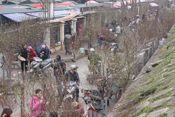 Hình ảnh tại chợ hoa Quảng An (Tây Hồ) có rất nhiều người đã đi xem và mua đào về chơi tết rất sớm. Ảnh: Như Trường