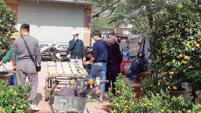 Những ngày cận Tết, để thuê chở cây cảnh không hề đơn giản. Những cửa hàng không hỗ trợ khách hàng chi phí thuê xe, họ đều phải tự thuê xe để chở với chi phí đắt đỏ. Thêm nữa, đa số người mua cây cảnh muốn nhận hàng trong ngày nên càng gấp số tiền chi chuyên chở ngày càng lớn. 