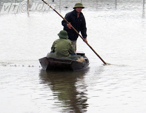 &Ocirc;ng Đo&agrave;n Văn Qu&yacute; (em &ocirc;ng Vươn) cho vịt ăn về - Ảnh MK