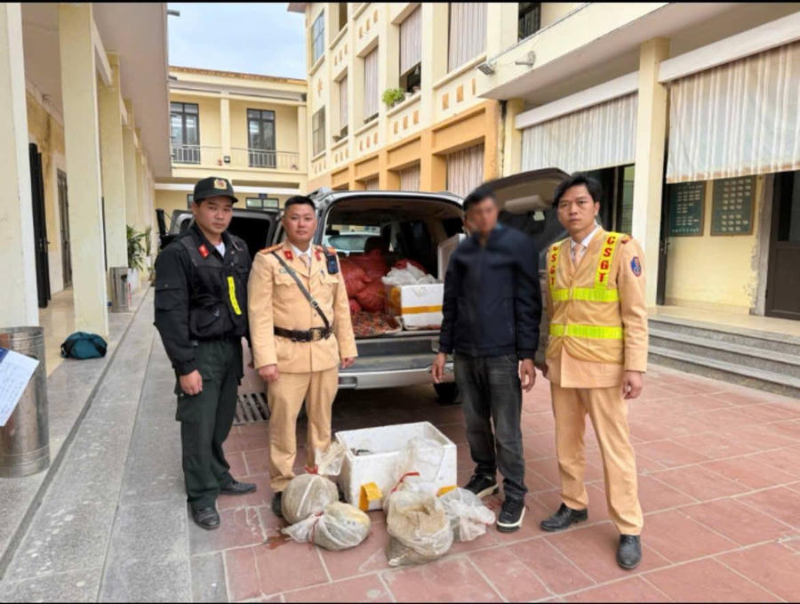 Lực lượng chức năng kiểm tra các thùng xốp chứa 12 cá thể tê tê vận chuyển trái phép.
