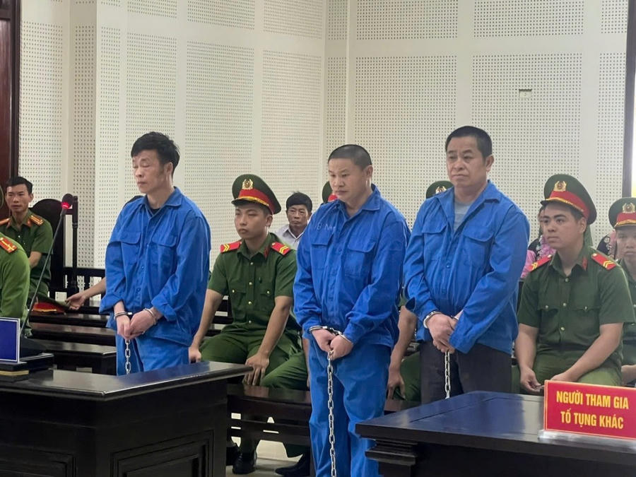 Các bị cáo tại tòa