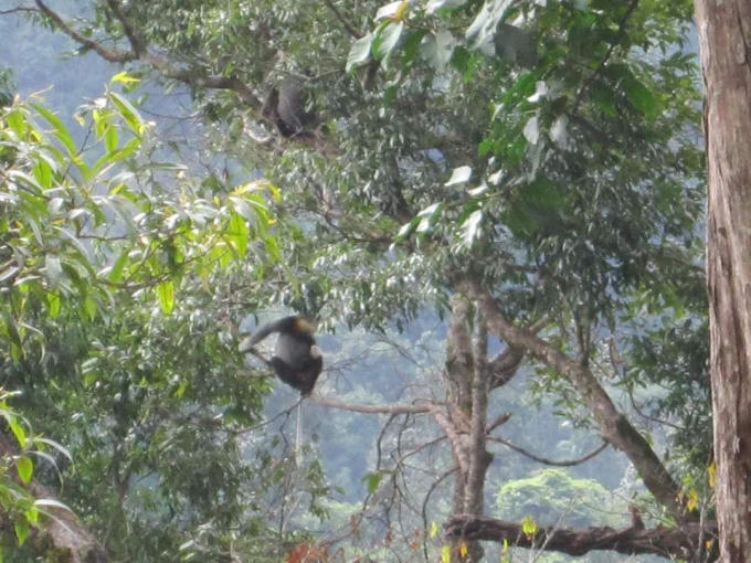 received_512738112730550.