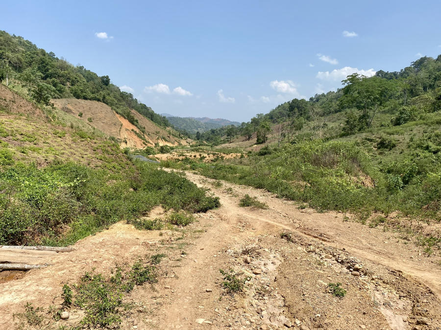 z4368678733633_7e16559e92d2cc36462aa491f96d8a43