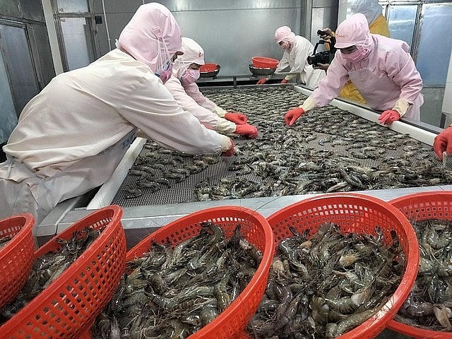FAO dự báo tăng trưởng ngành tôm chậm lại vào 2025.