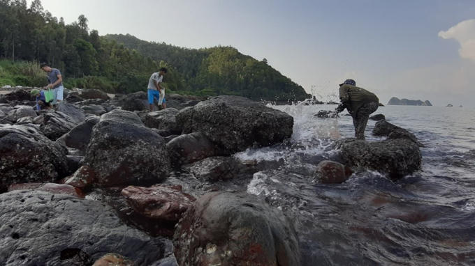 119127621_2740343719555487_830448541568838395_n