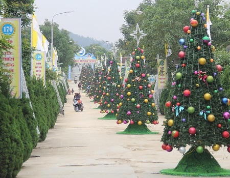 Hàng thông Noel được trang hoàng rực rỡ tại Linh địa Trại Gáo, xã Nghi Phương, Nghi Lộc (Ảnh: CTV).