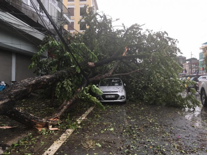 Cơn bão số 1 gây thiệt hại hơn 3 nghìn tỉ đồng.