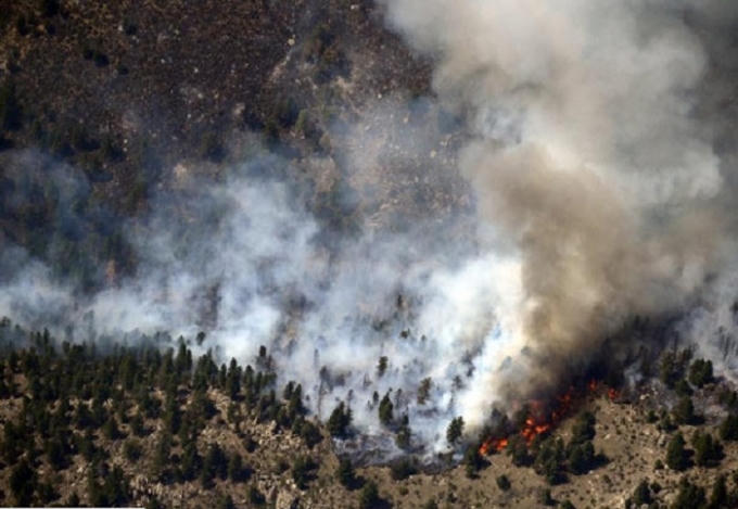 Hàng chục ha rừng bị thiêu rụi. (Ảnh minh họa).