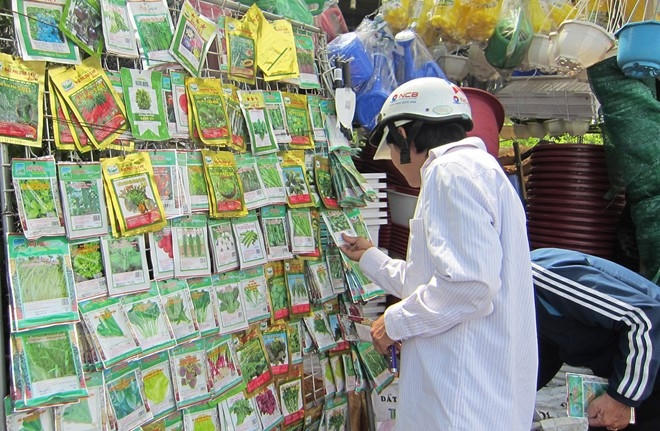 Người mua đang lựa chọn hạt giống về tự trồng. Ảnh: Thái Nguyễn
