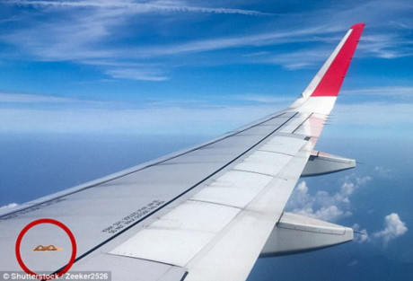 Những m&oacute;n đồ c&oacute; thể cứu mạng kh&aacute;ch đi m&aacute;y bay