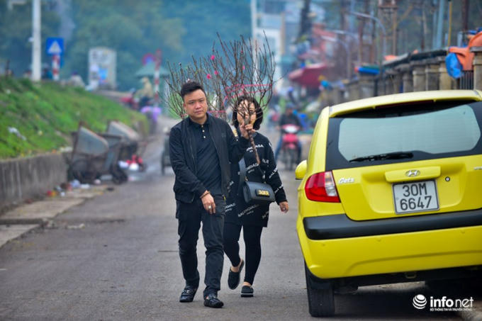 Đ&agrave;o Nhật T&acirc;n khoe sắc xuống phố đ&oacute;n Tết sớm