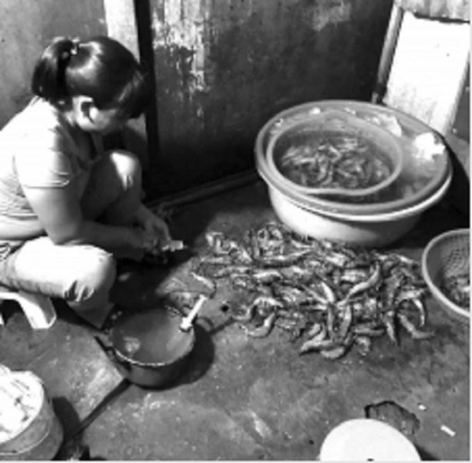 Cơ sở kinh doanh đang bơm tạp chất vào tôm.