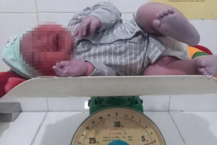 fe3c188966c48f9ad6d5