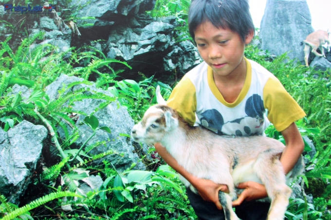 Một trong những tác phẩm triển lãm. (Ảnh: Đức Biên)