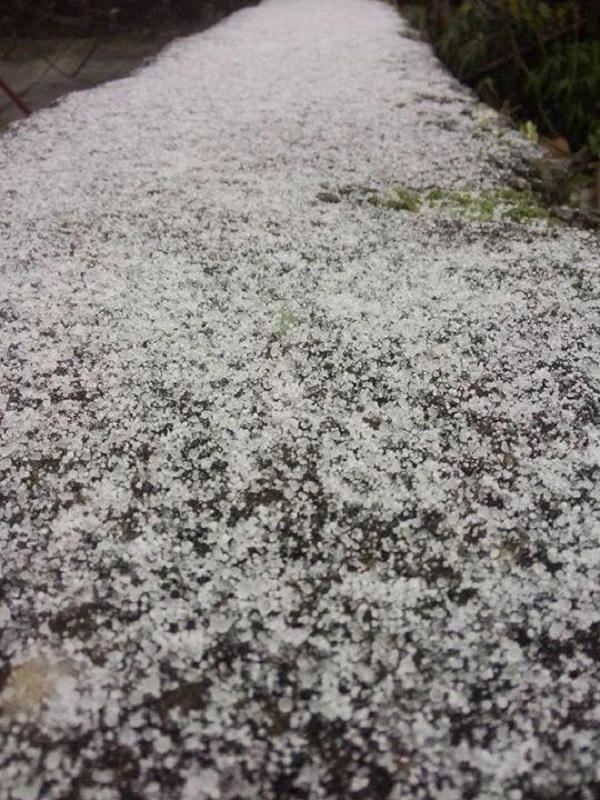 Tuyết phủ trắng mặt đường.