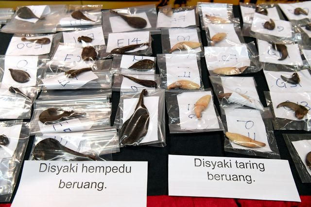 Cận cảnh các tang chứng (Ảnh: BERNAMA)
