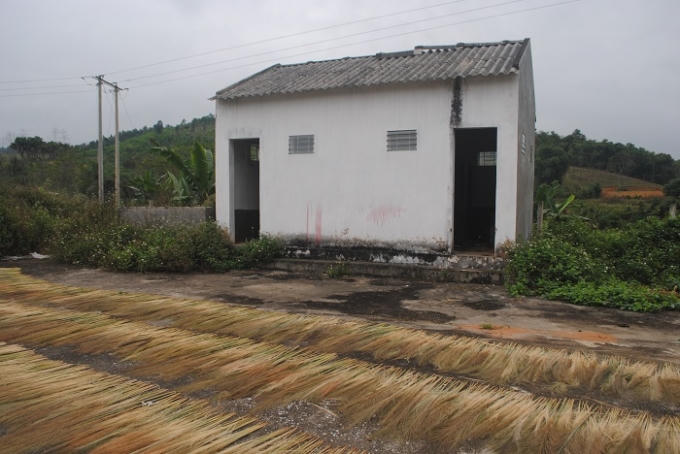 Khu nhà vệ sinh chợ Tiền Phong cỏ mọc xung quanh (ảnh Duy Ngợi).