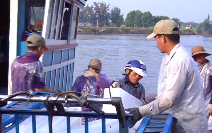 Chuẩn bị ra khơi.