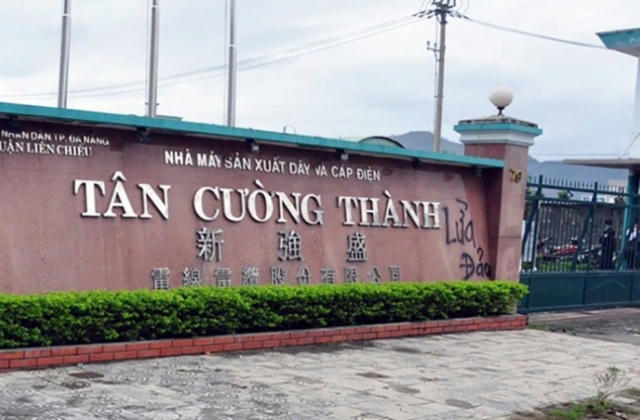 Vì sao dây cáp điện Tân Cường Thành bị dừng thủ tục hải quan?