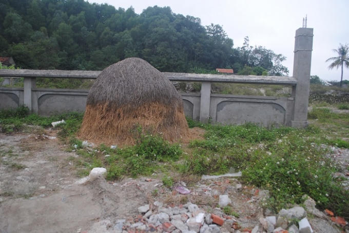 Đống rơm này tồn tại đã lâu trước cổng Khu di chỉ khảo cổ học (ảnh Duy Ngợi).