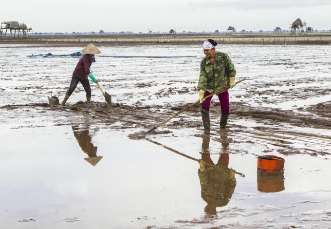 Sửng sốt vẻ đẹp b&atilde;i ngao cửa Nẹ
