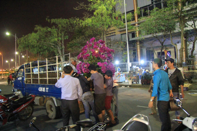 Chợ hoa tết Đà Nẵng nhộn nhịp kẻ mua người bán.