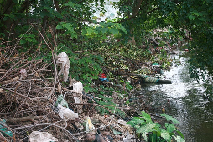 Mầm mống bệnh tật trong