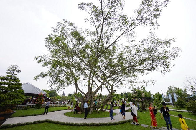 Không gian xanh ở nhà thờ tổ.