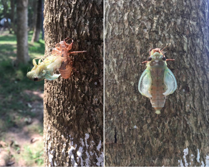 Screen Shot 2022-10-06 at 12.10.31