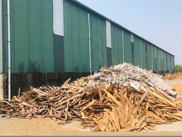 Kho để nguyên liệu 1.700m2 đang được cho thuê… chứa mùn cưa. Ảnh: Trần Quý