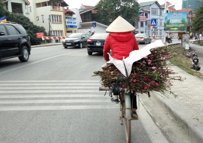 Vận chuyển bằng cả xe đạp, xe máy, xe kéo.