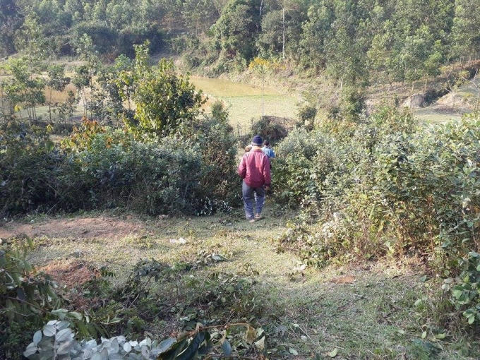 Người dân thắp hương từ mộ tổ tiên đến về nhà.