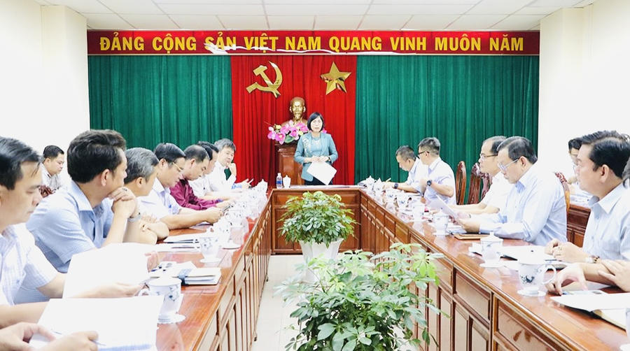 Phó chủ tịch UBND tỉnh Nguyễn Thị Hoàng phát biểu tại buổi làm việc