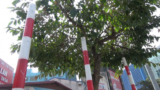 H&agrave; Nội: Sau một đ&ecirc;m, những biển b&aacute;o giao th&ocirc;ng