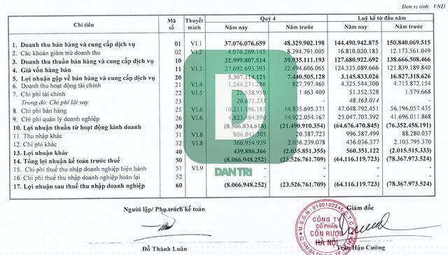 Kết quả kinh doanh bết bát của Halico trong năm 2019