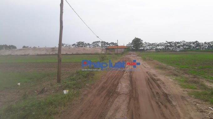 UBND xã Hồng Châu còn cho thuê đất làm bãi tập kết cát giữa cánh đồng