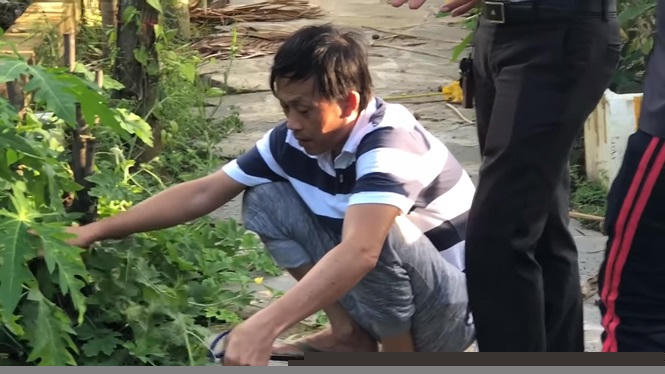 Tiếp đó, Hoài Linh nhổ cỏ, hái trái vả, đu đủ rồi dẫn mọi người thăm quan khu vườn của mình.