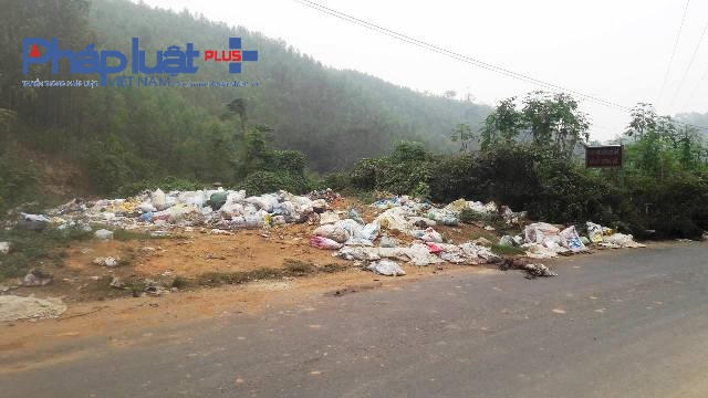 Nhiều bao tải lợn chết vứt tại bãi rác thuộc xã Bắc Bình, huyện Lập Thach (Ảnh Đào Tấn)